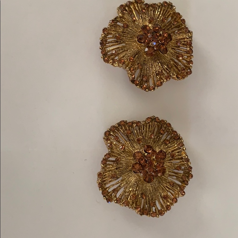 Shoe clips bronze color set in gold circle set